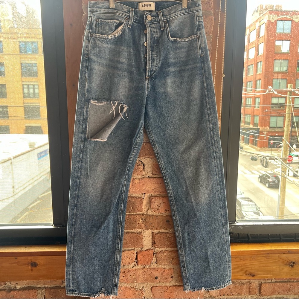 Agolde 90's Mid Rise Loose Fit in Portal